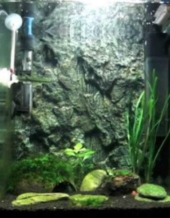 Natura 3D Center San Marino