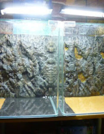 Natura 3D Center San Marino