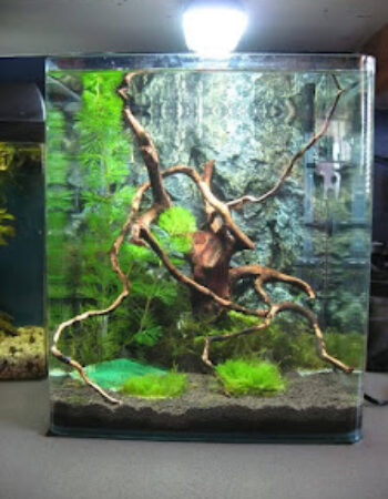 Natura 3D Center San Marino