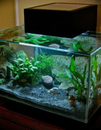 Natura 3D Center San Marino