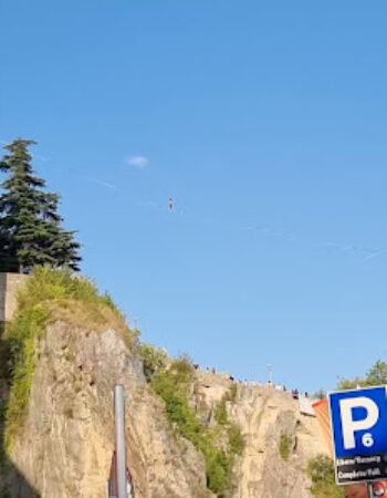 Museum of Curiosities