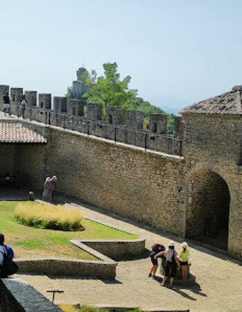 Museum of Curiosities