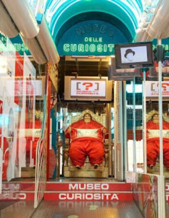 Museum of Curiosities